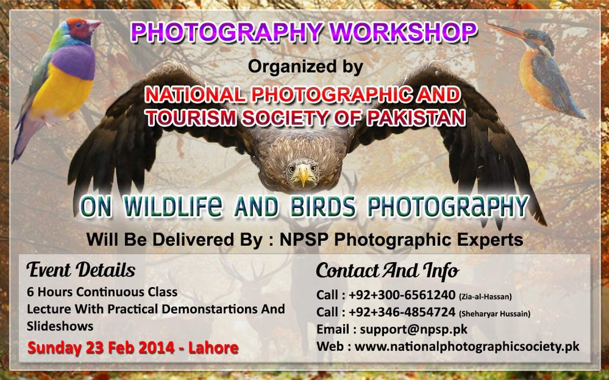 02. Photography Workshop In Lahore Pakistan On Wildlife And Birds Photography