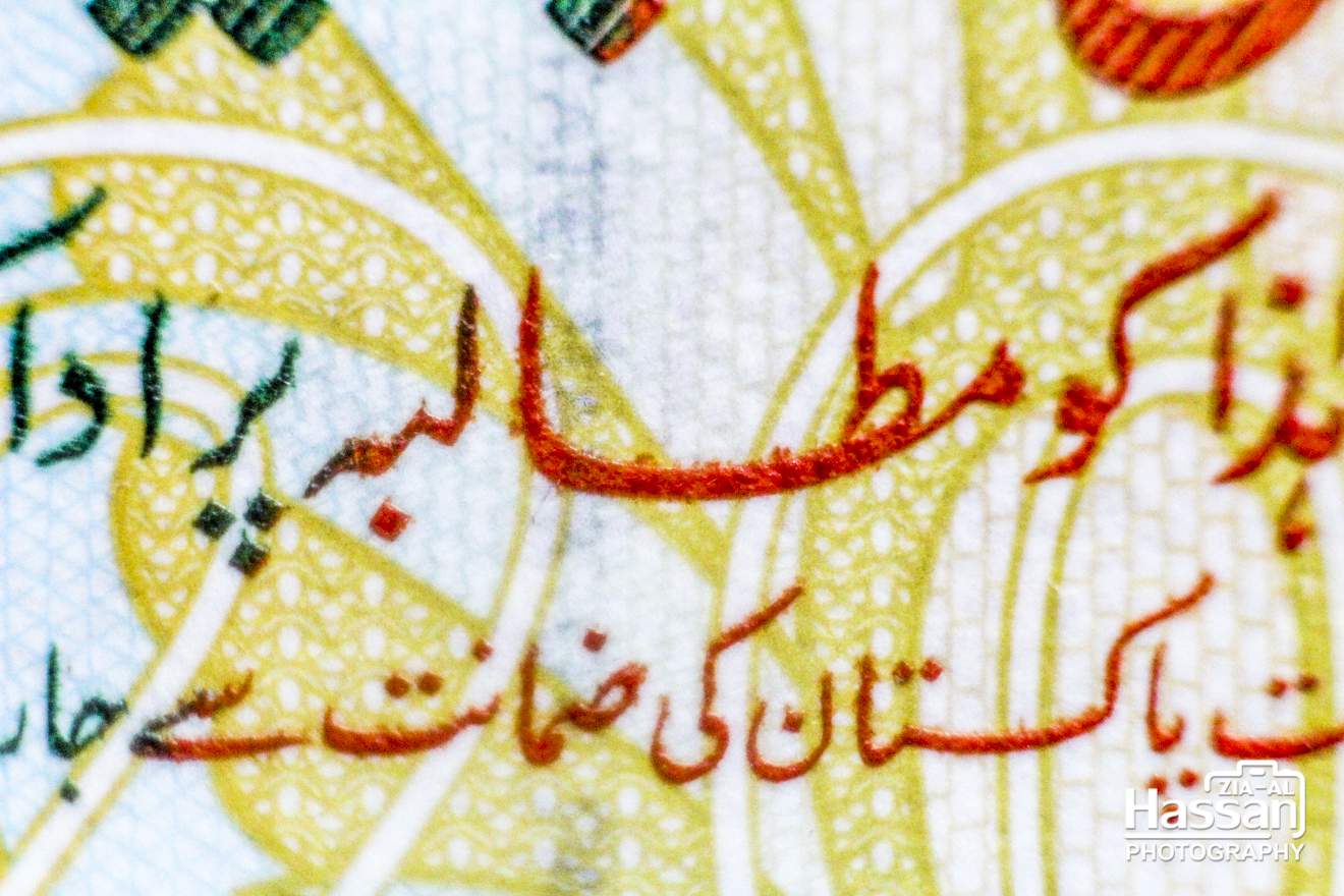 05-Feb-2015 - A Macro Photo Of 20 Rupee Note (8)