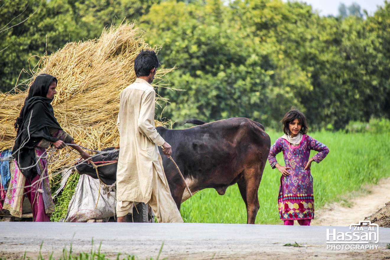 10-Feb-2015 - Trip To Toba Tek Singh With Usman (18)