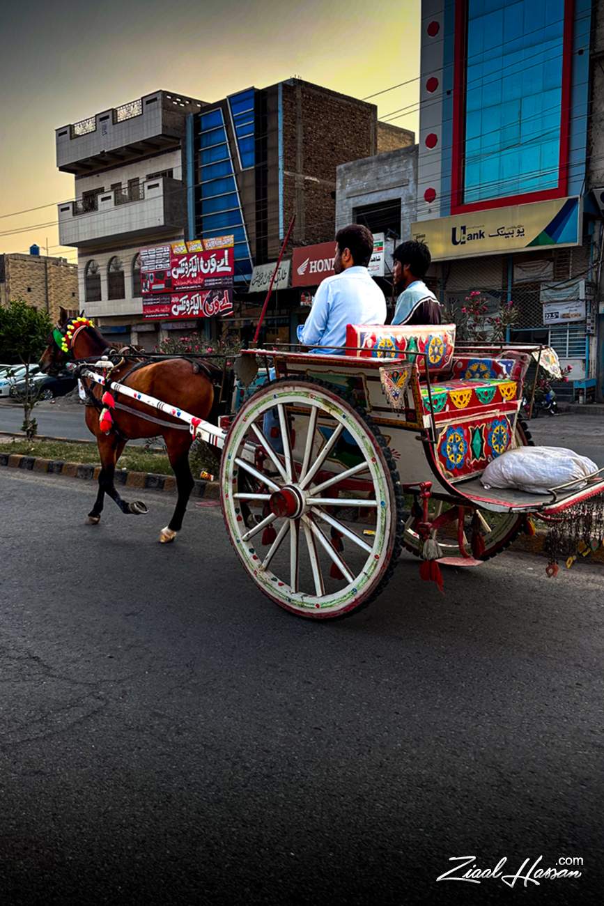 Traditional Pakistani Horse Carriage in a Vibrant Urban Setting - Dr. Zia-al-Hassan Photography