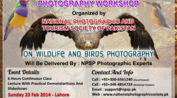 Photography Workshop In Lahore Pakistan On How To Do Wildlife And Birds Photography In Pakistanv