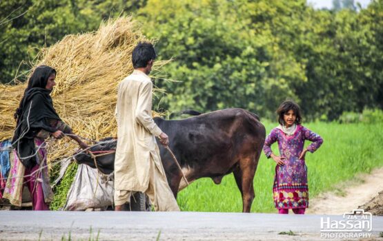 10-Feb-2015-Trip-To-Toba-Tek-Singh-With-Usman-18