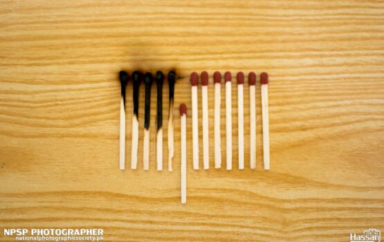 Burning-Match-Sticks-1
