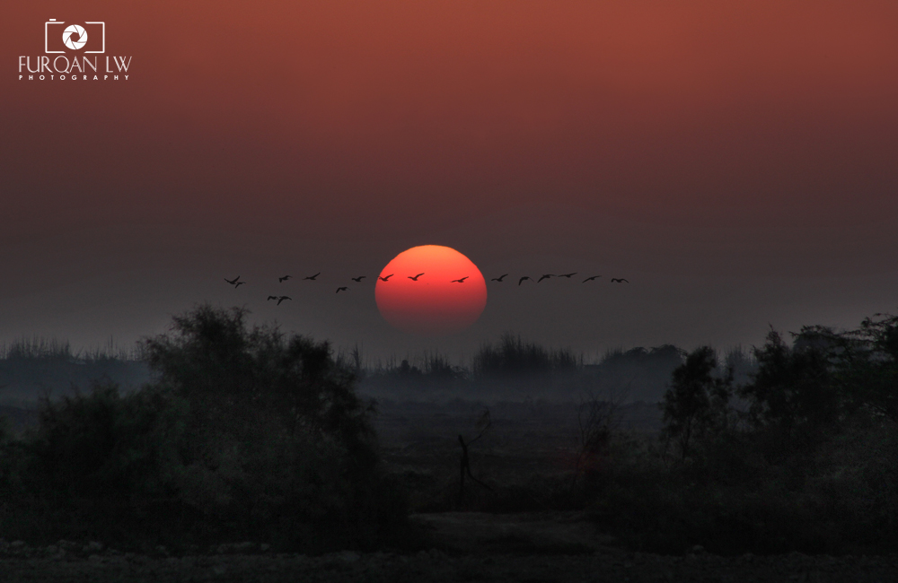 sunrise-in-Village-of-Mirpur-Sakro