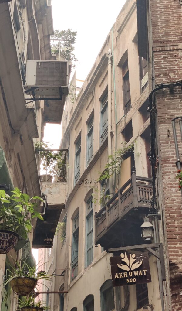 Photos By Zia Mohi Uddin (1)