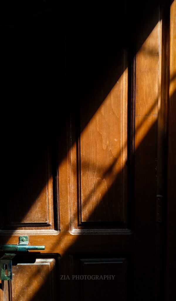 Photos By Zia Mohi Uddin (4)