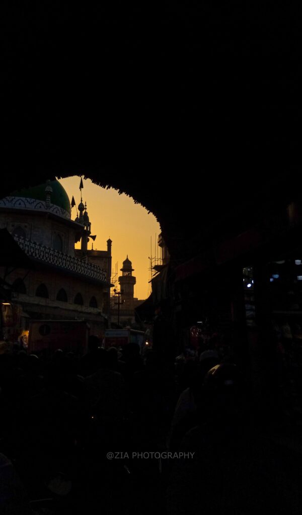 Photos By Zia Mohi Uddin (5)