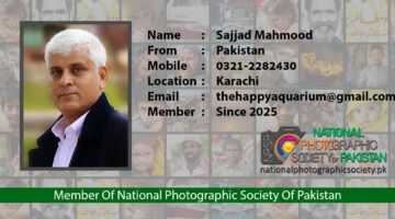 Sajjad Mahmood Member Of National Photographic Society Of Pakistan NPSP