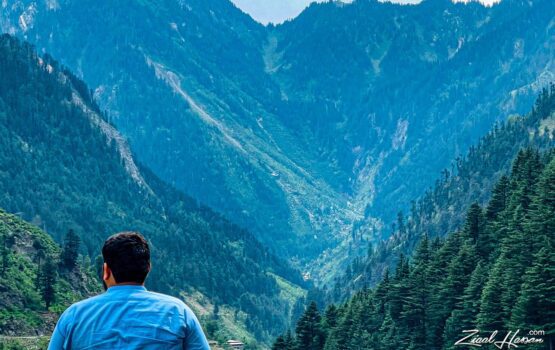 Breathtaking View of Lush Green Mountain Valleys - Dr. Zia-al-Hassan Photography