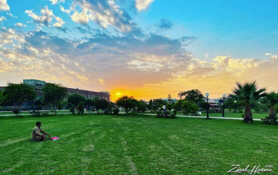 Solitude at Sunset in the City Park - Dr. Zia-al-Hassan Photography